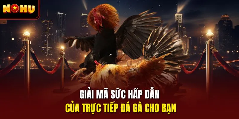 Giải mã sức hấp dẫn của trực tiếp đá gà cho bạn