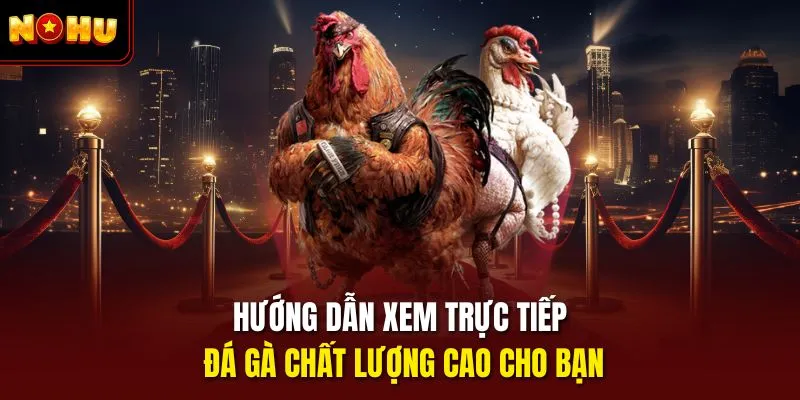 Hướng dẫn xem trực tiếp đá gà chất lượng cao cho bạn