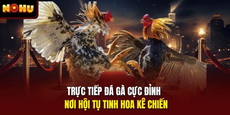 Trực tiếp đá gà